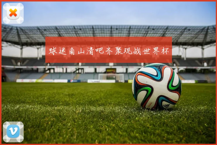 球迷南山清吧齐聚观战世界杯