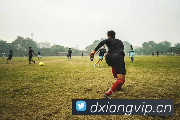 App Interface Preview